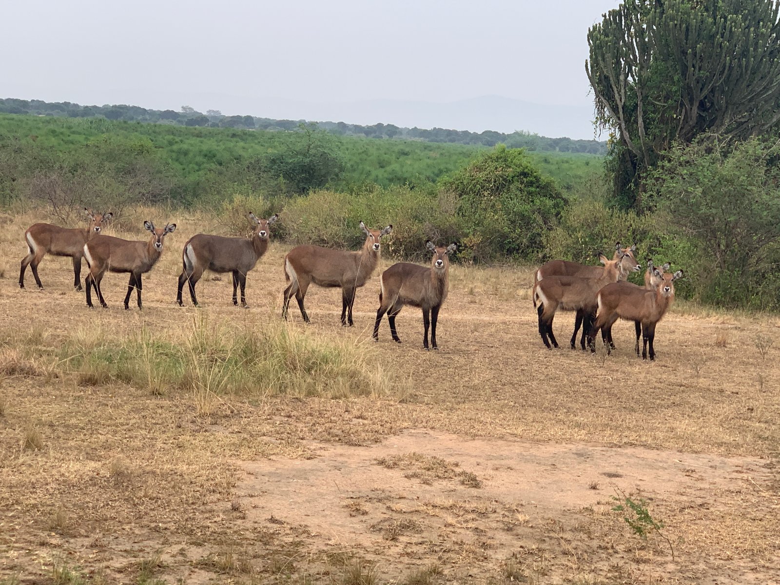 Kazinga Channel