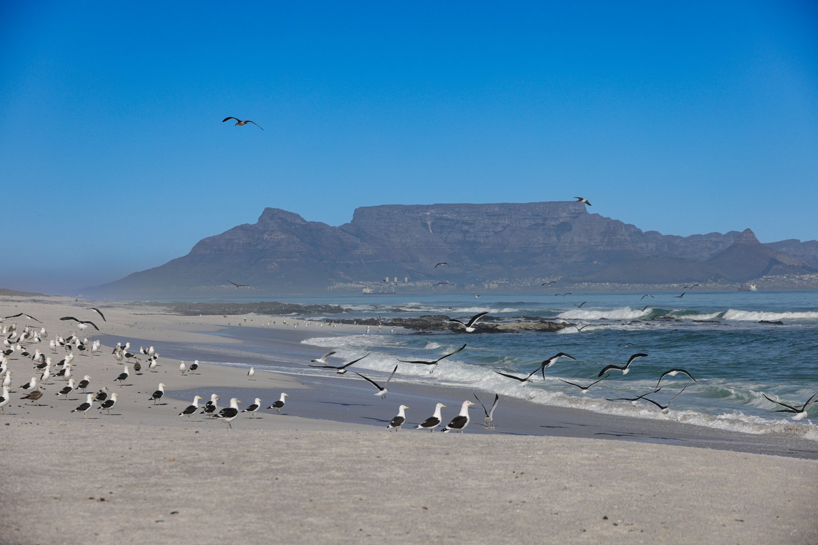 Table Mountain