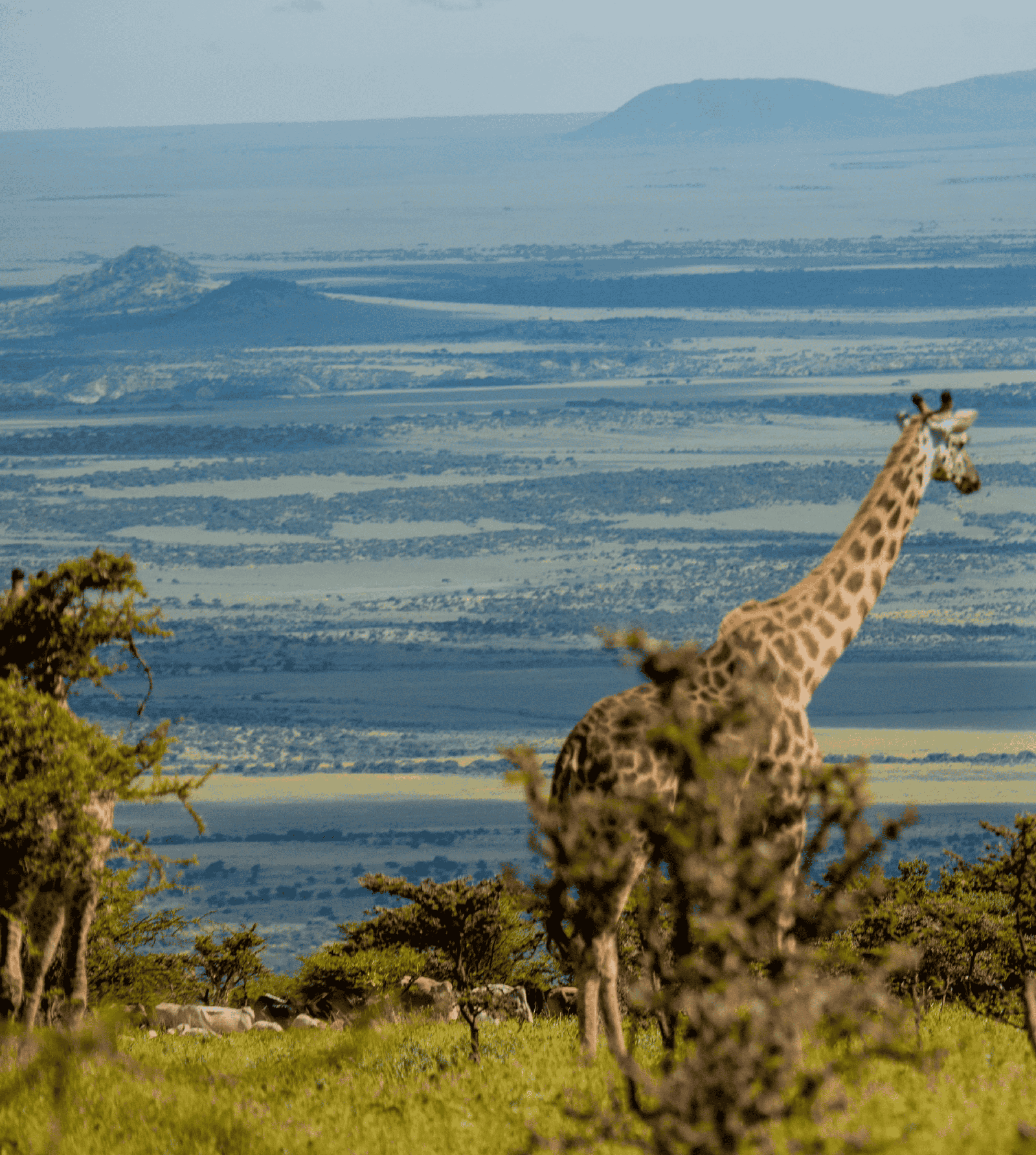Nairobi city