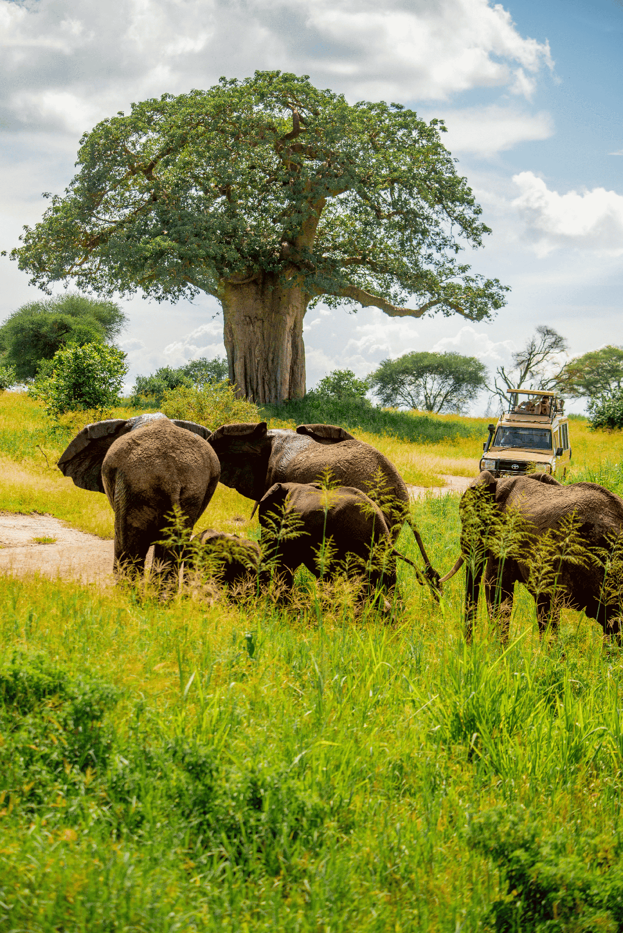 Amboseli sunset