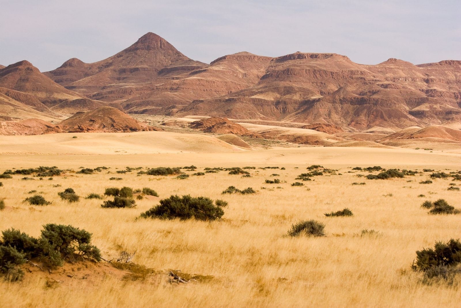 Damaraland