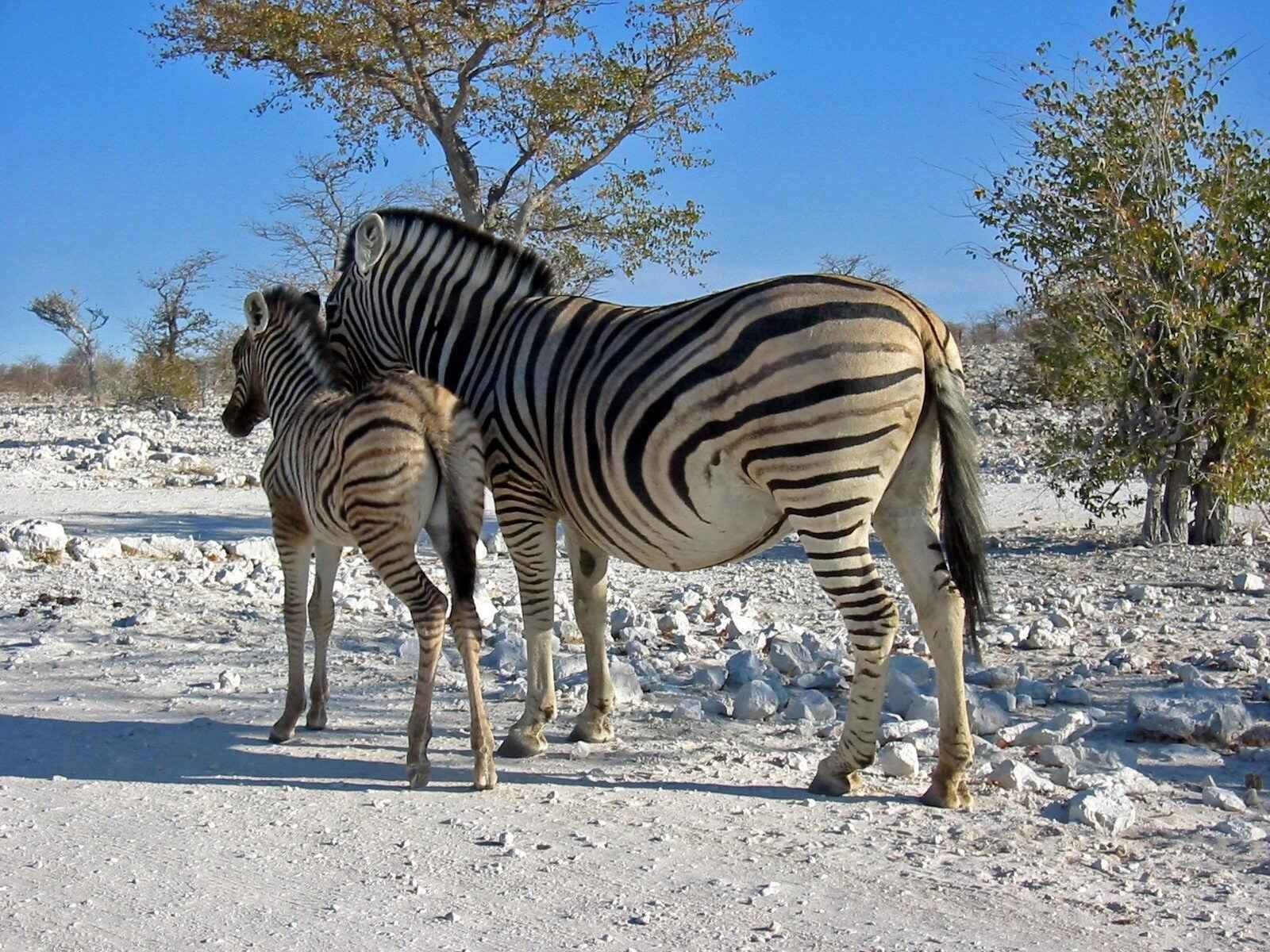 Namibia