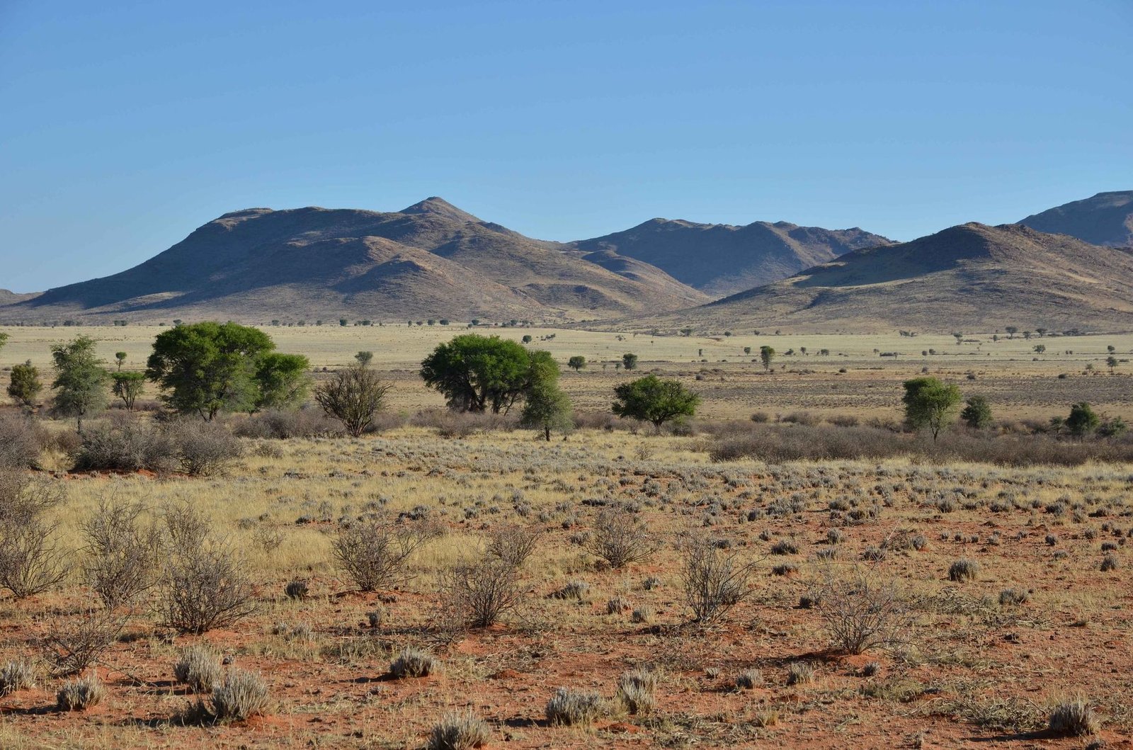 Namibia Desert