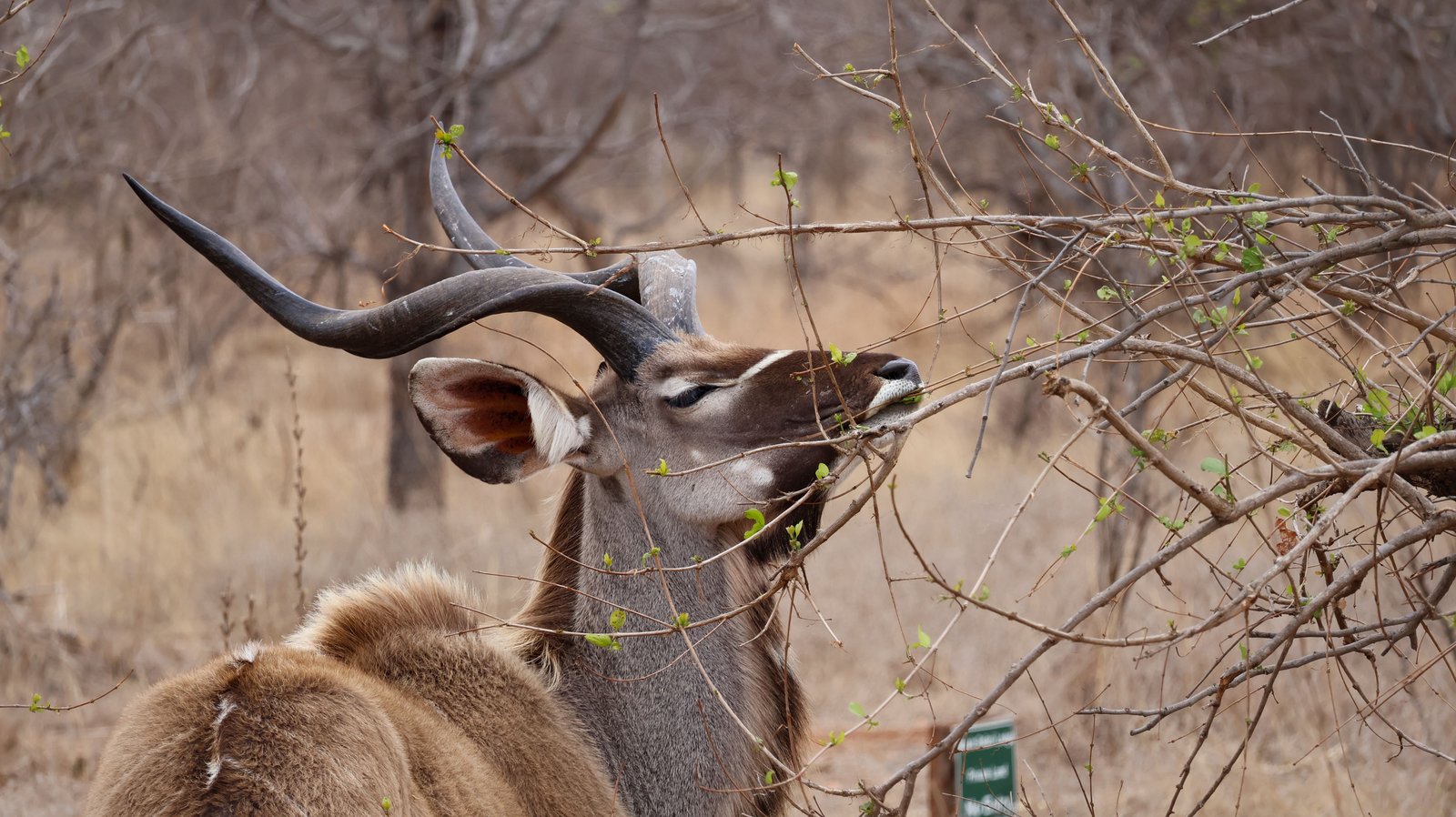 Kruger National Park