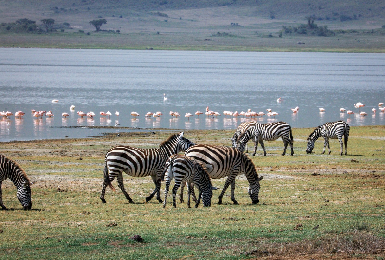 Lake Nakuru