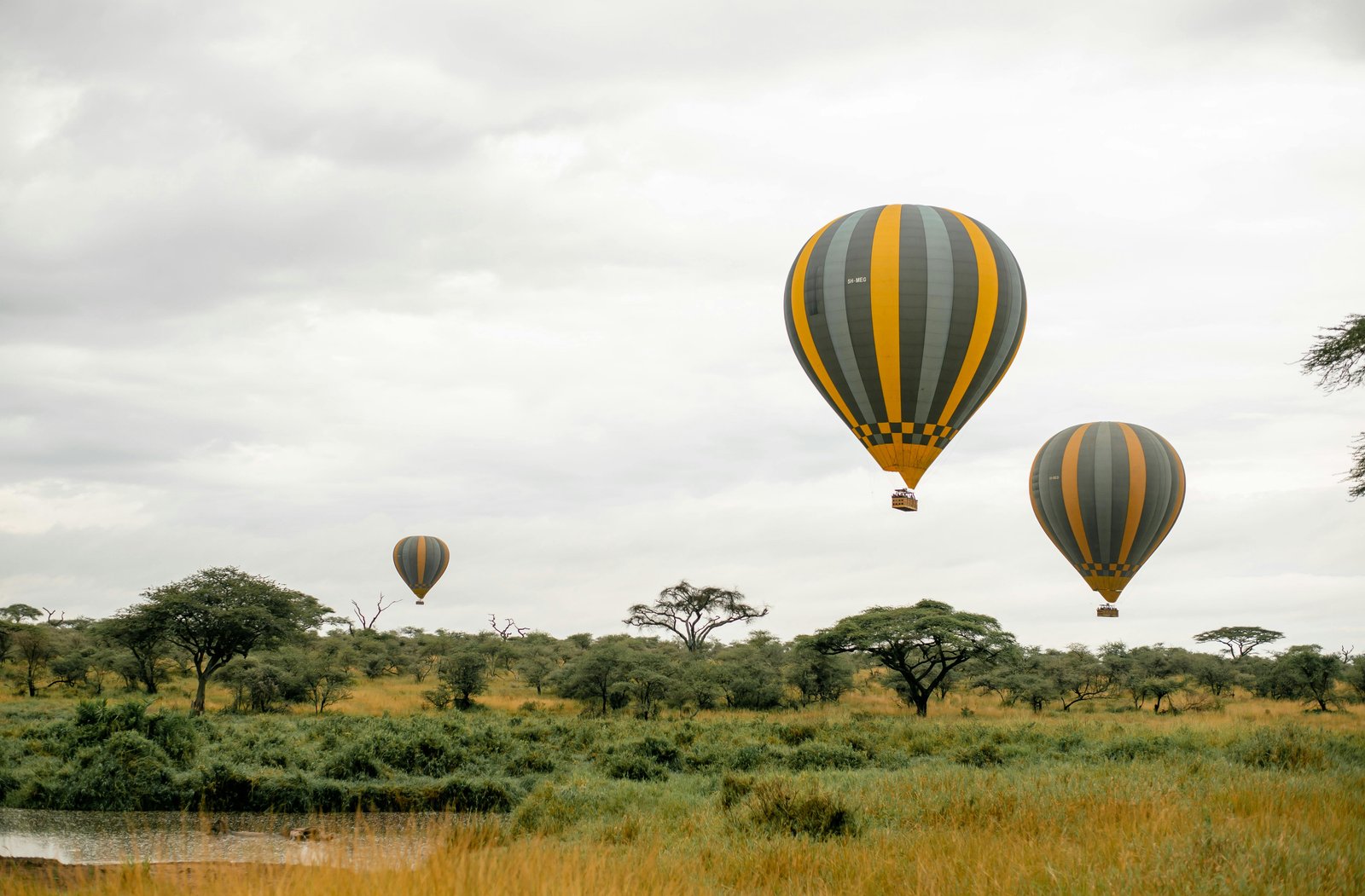 Maasai Mara