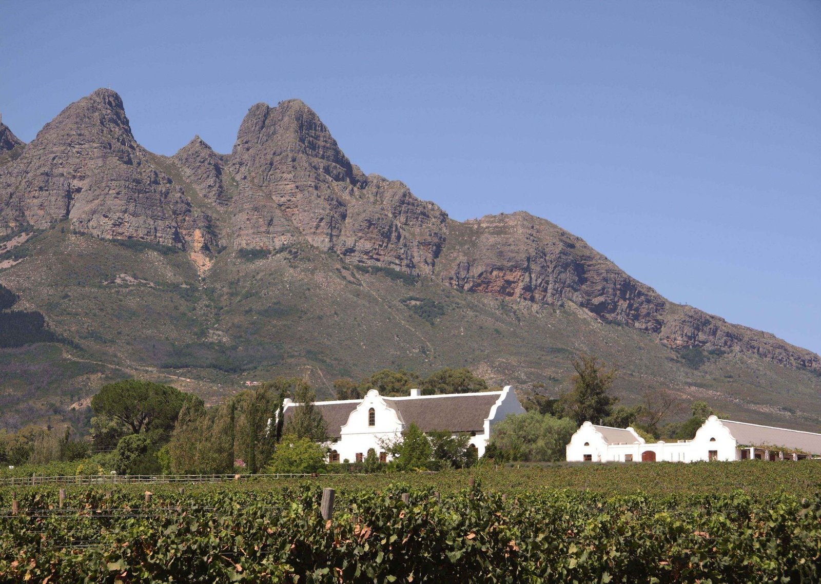 Wine tasting