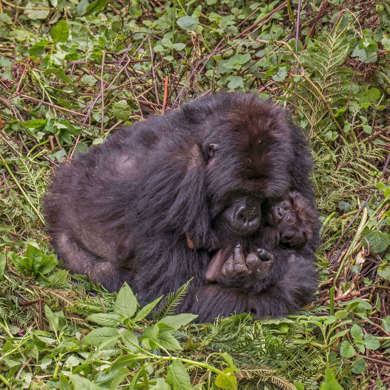 Uganda Museum